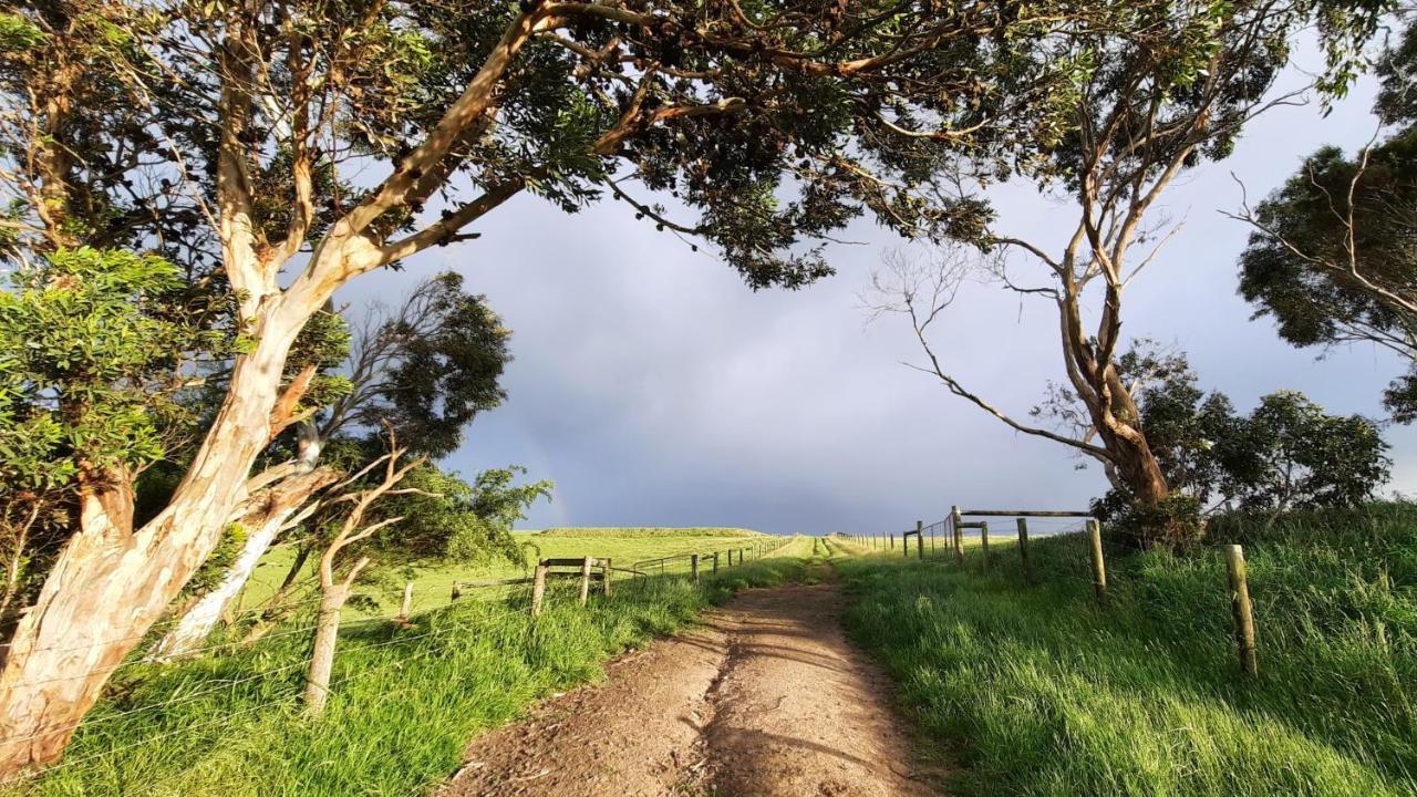 Ryanston Rockbank Retreat Bed & Breakfast エクステリア 写真