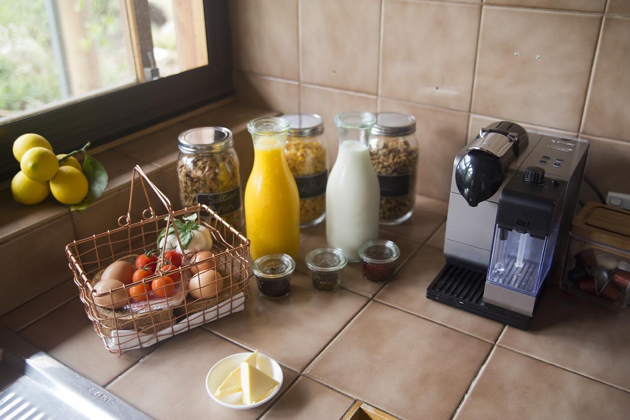 Ryanston Rockbank Retreat Bed & Breakfast エクステリア 写真
